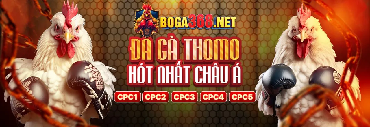 Sân vận động lớn với ánh đèn rực rỡ, biểu tượng cá cược thể thao Big79 link mới
