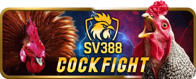 Cá cược thể thao Big79